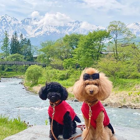 白馬パウダーマウンテン Hotel Hakuba Buitenkant foto