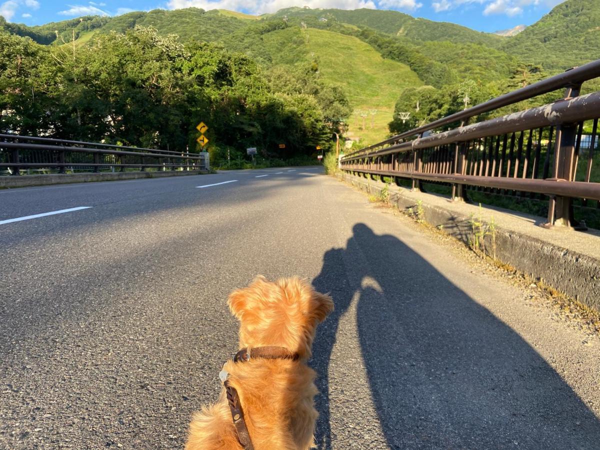 白馬パウダーマウンテン Hotel Hakuba Buitenkant foto