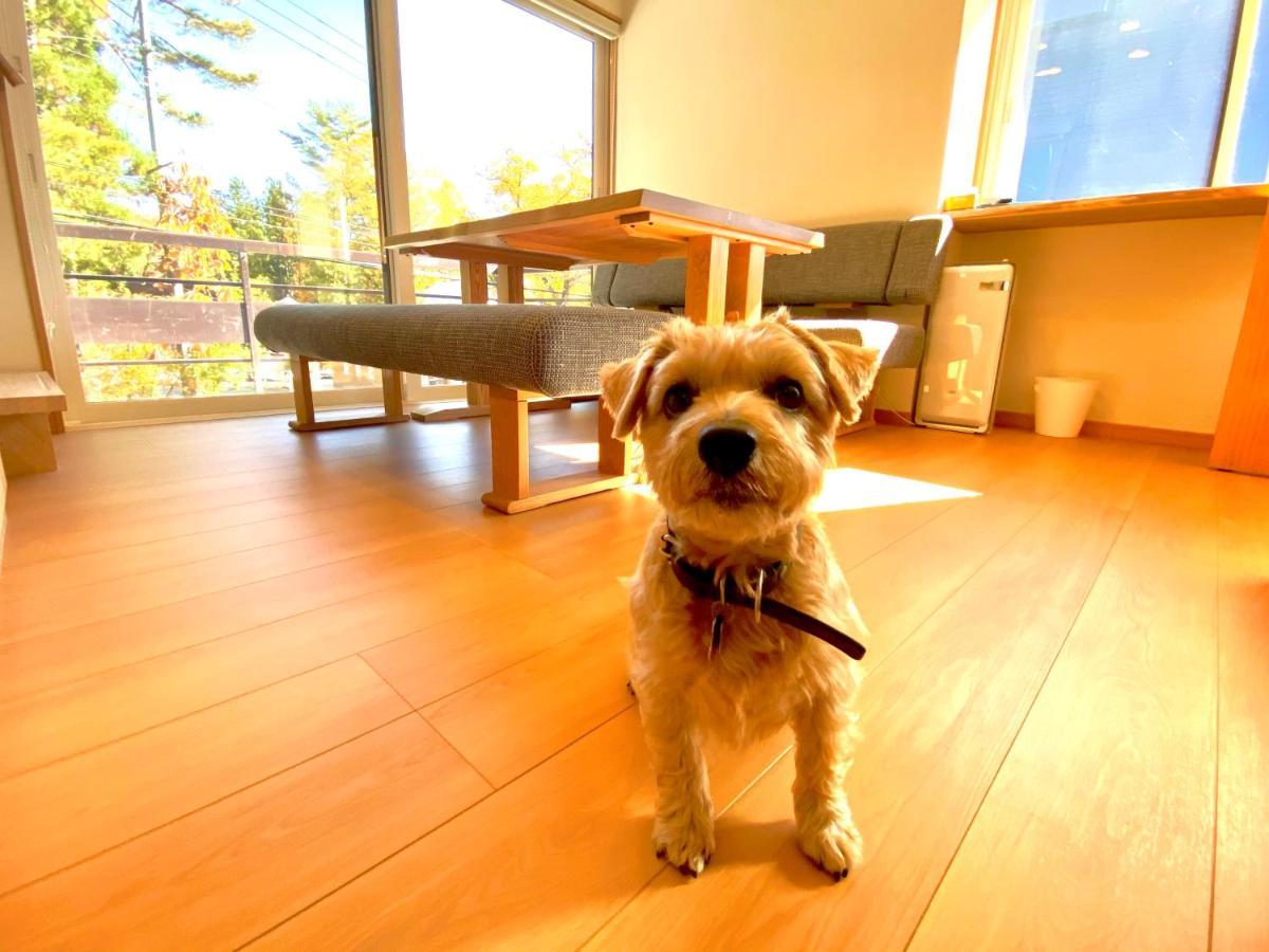 白馬パウダーマウンテン Hotel Hakuba Buitenkant foto