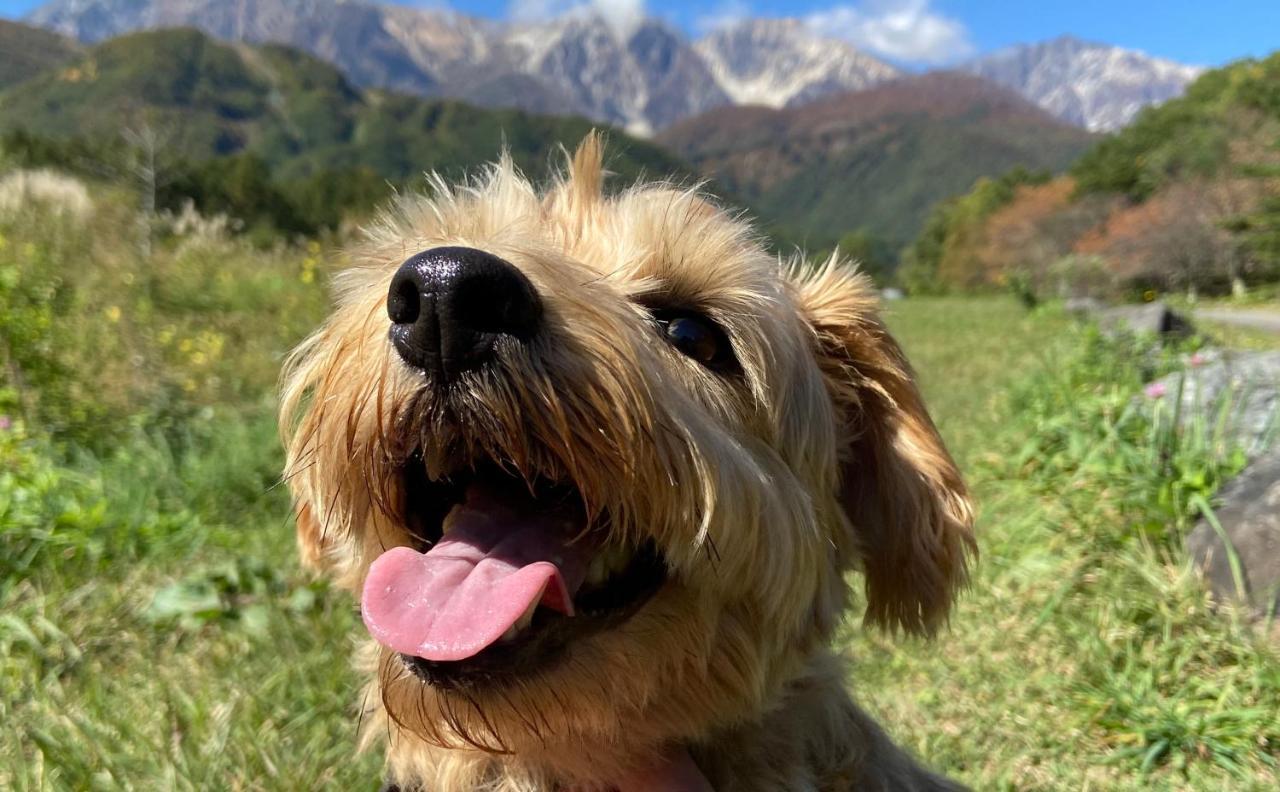 白馬パウダーマウンテン Hotel Hakuba Buitenkant foto