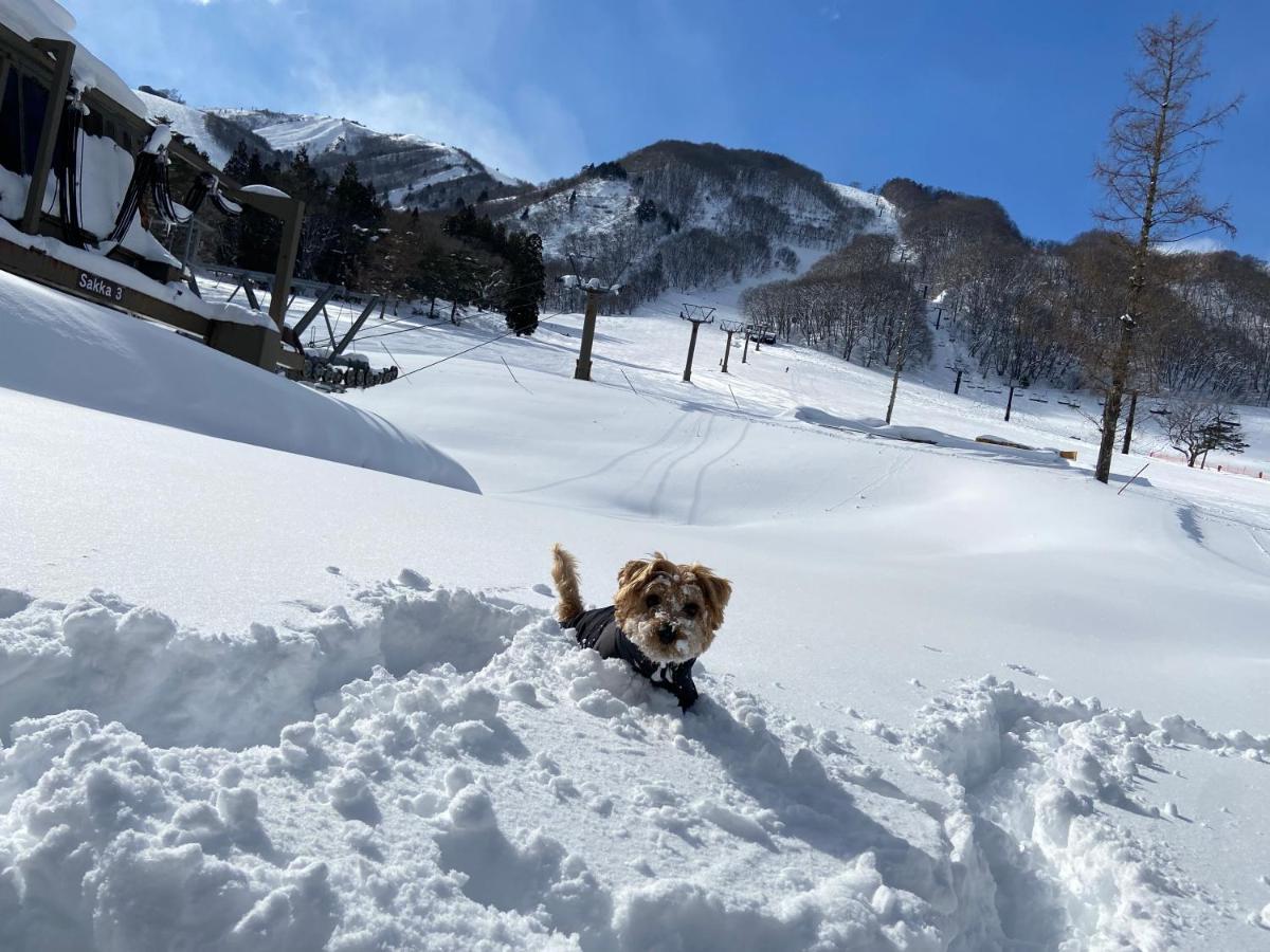 白馬パウダーマウンテン Hotel Hakuba Buitenkant foto